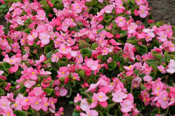 Inondations : protégez efficacement votre maison avec nos solutions simples