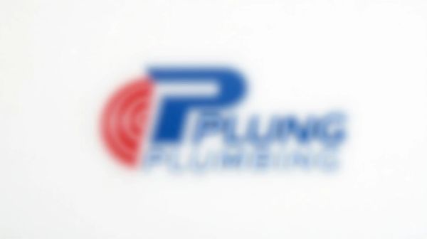 Services de plomberie d'urgence à Nyon : réactifs et fiables